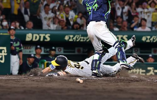 阪神対ヤクルト　9回裏阪神2死満塁、近本のサヨナラ安打で生還する原口（撮影・上田博志）