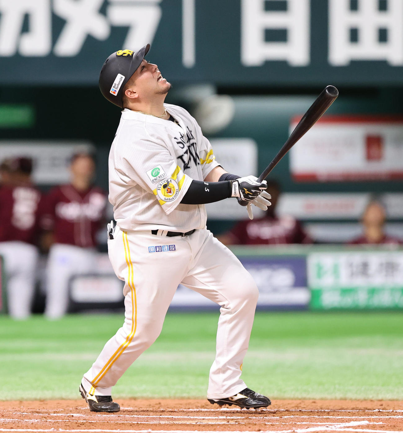 ソフトバンク山川穂高
