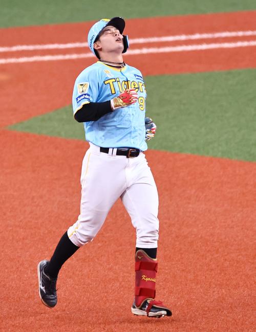 阪神対広島　4回裏阪神2死一塁、野口は大飛球を放つも中飛に倒れる（撮影・上田博志）