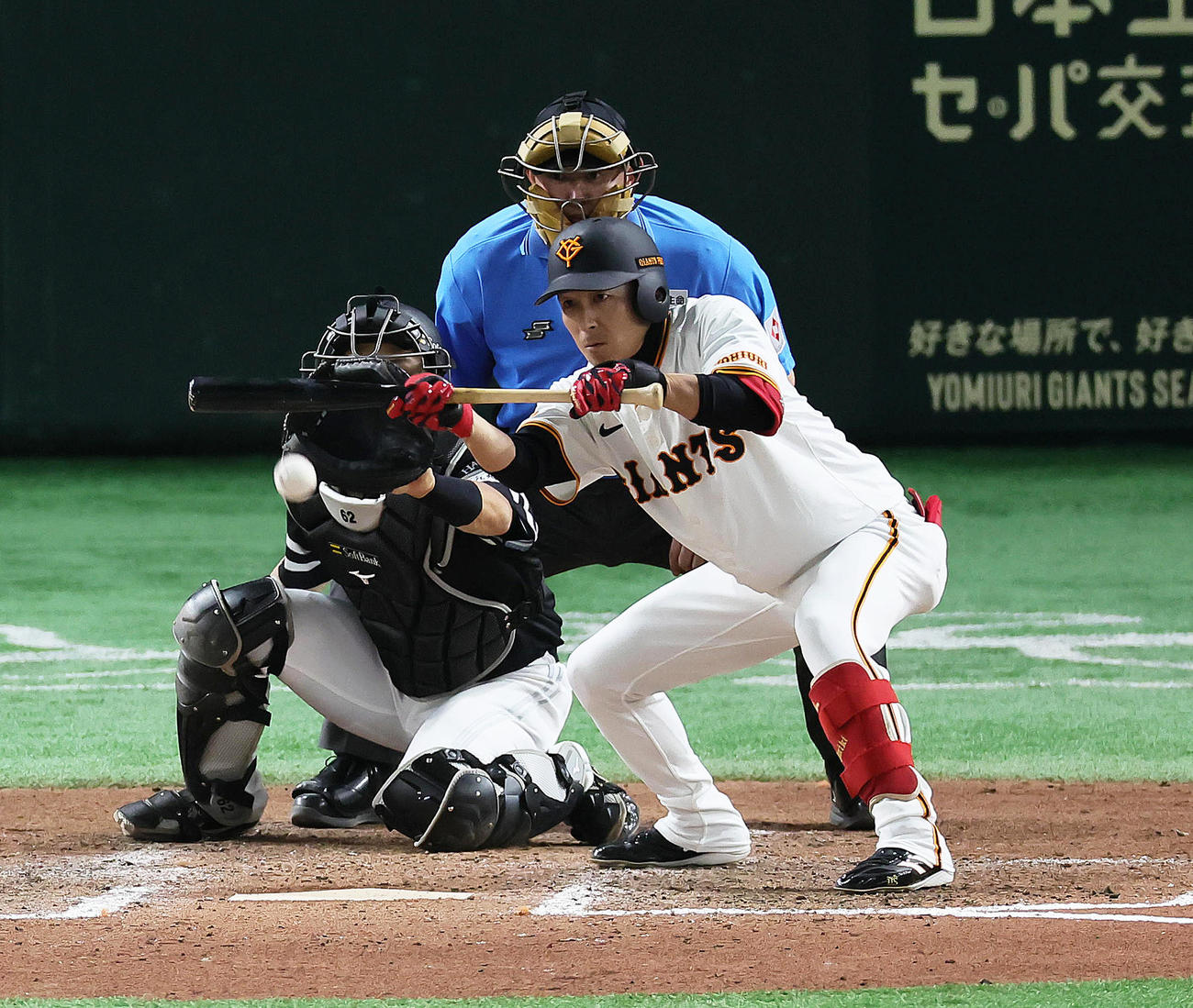 巨人増田大輝（2024年5月29日撮影）