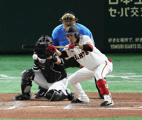 巨人増田大輝（2024年5月29日撮影）