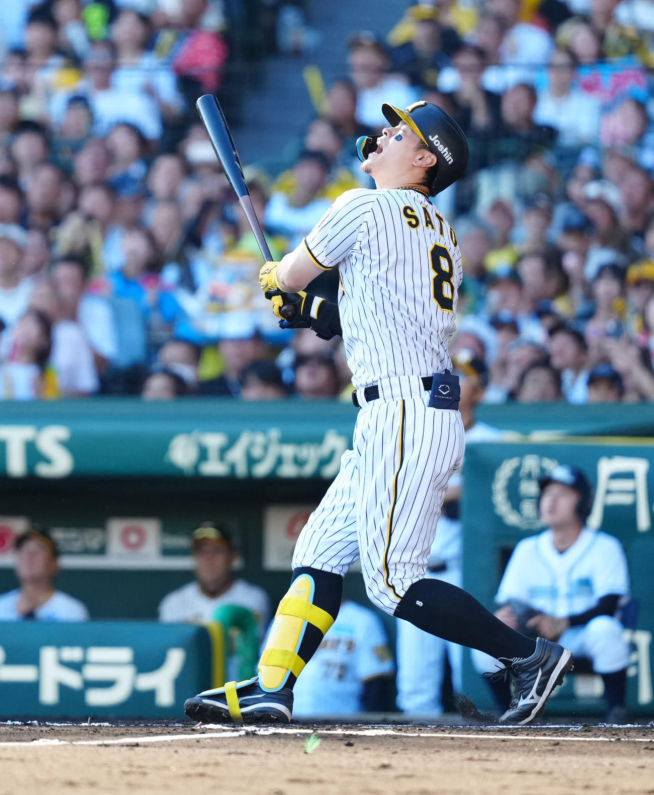 阪神対巨人　6回裏阪神無死二塁、中飛に倒れる佐藤輝（撮影・江口和貴）