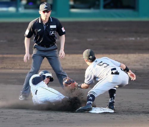 阪神対巨人　9回裏阪神2死一塁、代走植田は打者木浪のとき二盗を決める。野手門脇（撮影・加藤哉）