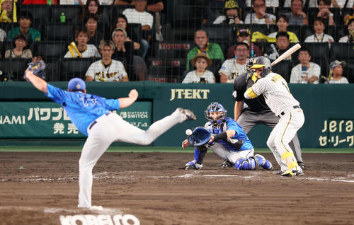 阪神対DeNA 7回裏阪神2死二塁、四球を選ぶ森下。投手伊勢（撮影・加藤哉）