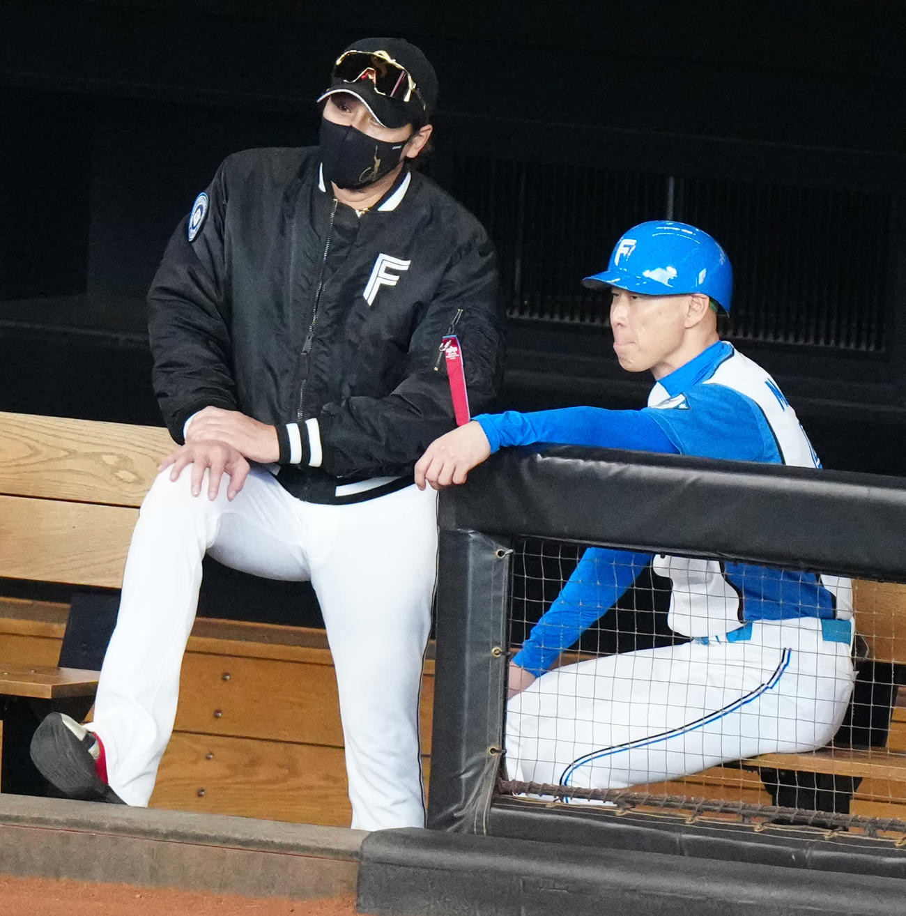 実戦形式の練習中、日本ハム森本外野守備走塁コーチ（右）と言葉を交わす新庄監督（撮影・江口和貴）