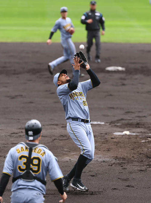 紅白戦　2回裏白組無死、中川勇斗の三球を捕球するヘルナンデス（撮影・藤尾明華）