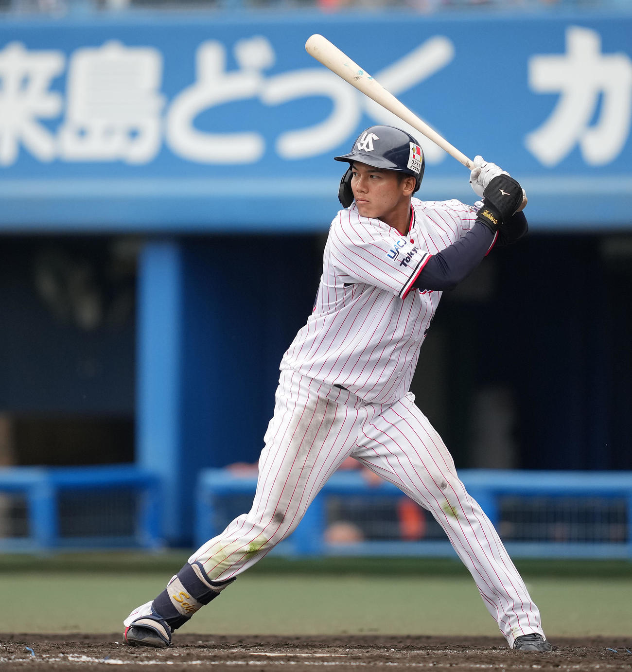 ヤクルト橋本星哉（2024年11月10日撮影）