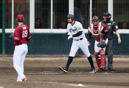 阪神対楽天　1回裏阪神1死三塁、四球を選ぶヘルナンデス。投手内（撮影・加藤哉）