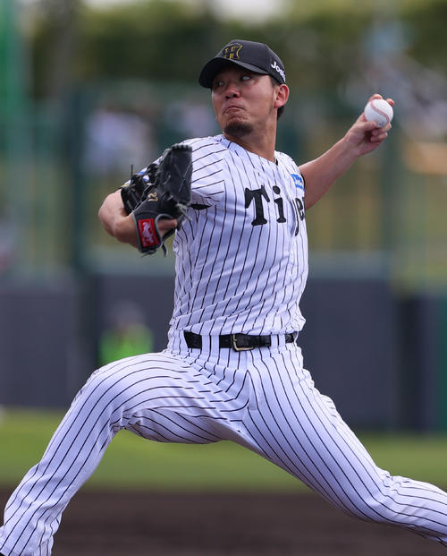 練習試合・阪神対広島　阪神先発の伊藤将（撮影・上山淳一）