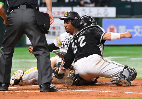 ソフトバンク対ロッテ　4回裏ソフトバンク2死一、二塁、周東の左前安打で本塁を狙うも、左翼手西川の好返球でアウトとなったダウンズ（撮影・岩下翔太）