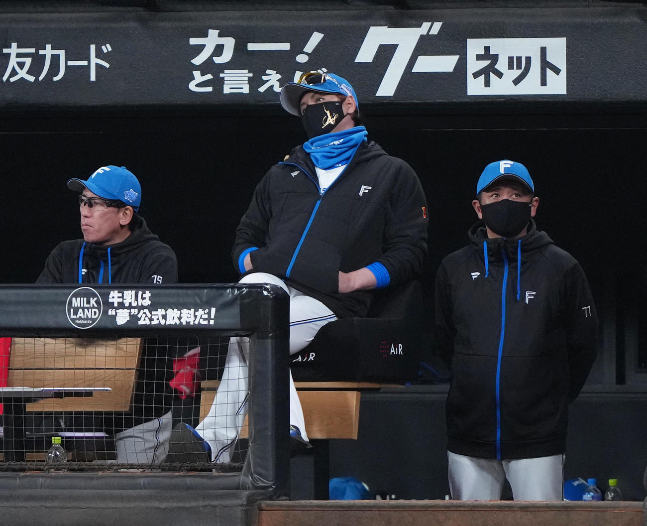日本ハム対ソフトバンク　ベンチで首をかしげる日本ハム新庄監督（中央）（撮影・足立雅史）