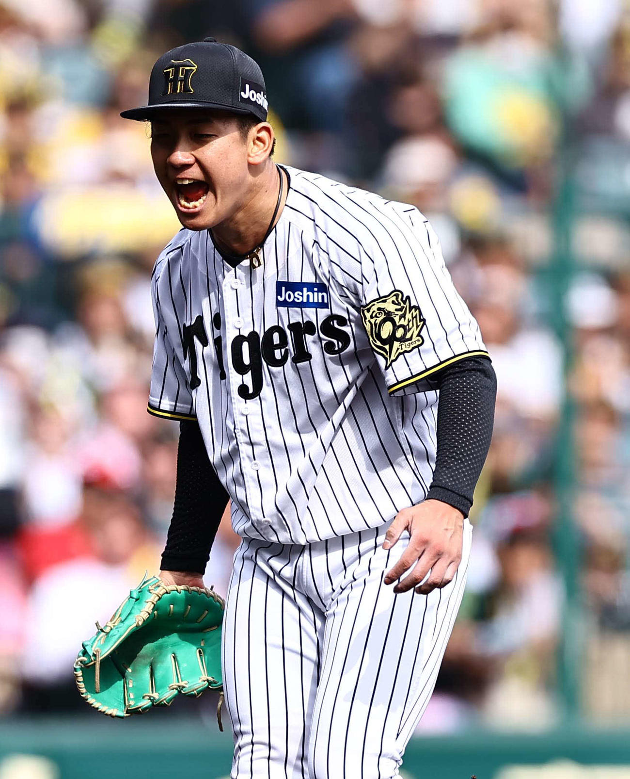 阪神対広島　4回表広島2死一、二塁、菊池から三振を奪った伊原は雄たけびをあげる（撮影・上田博志）