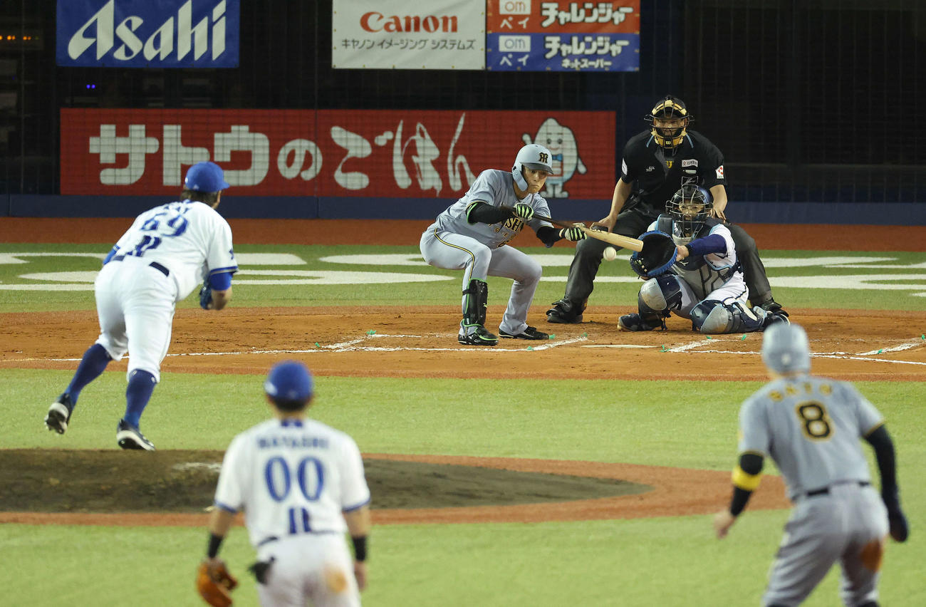 DeNA対阪神　7回表阪神無死一、二塁、送りバントを決める高寺。投手ケイ（撮影・河田真司）