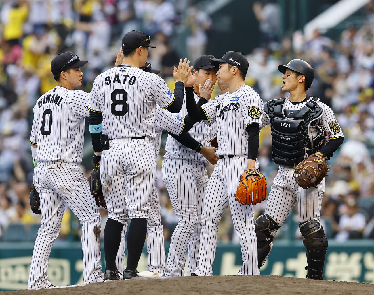 阪神対広島　広島に勝利し、タッチを交わす石井ら阪神ナイン（撮影・藤尾明華）