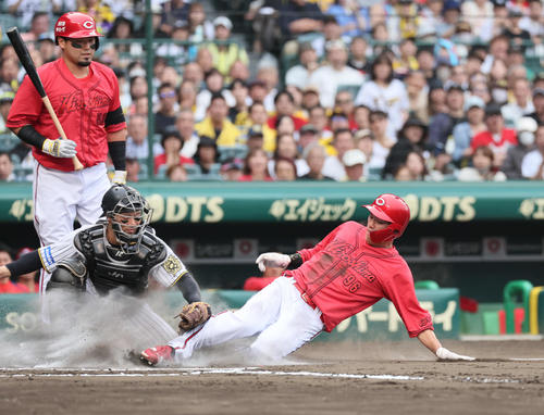 阪神対広島　6回表広島2死三塁、打者末包の時、中村奨は本盗を試みタッチアウト。捕手は坂本（撮影・宮崎幸一）