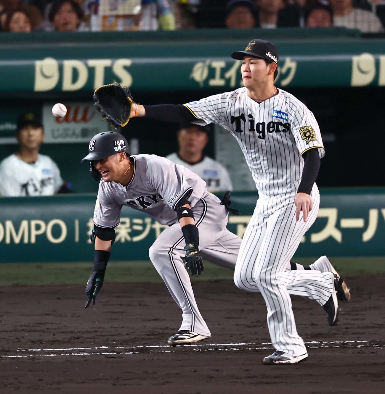 阪神対巨人　7回表巨人1死一塁、及川（右）は大山の悪送球を捕れず吉川の出塁を許す（撮影・上田博志）