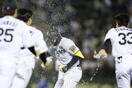 阪神対DeNA 11回裏阪神無死満塁、サヨナラの押し出し四球を選び、祝福される森下（中央）（撮影・前田充）