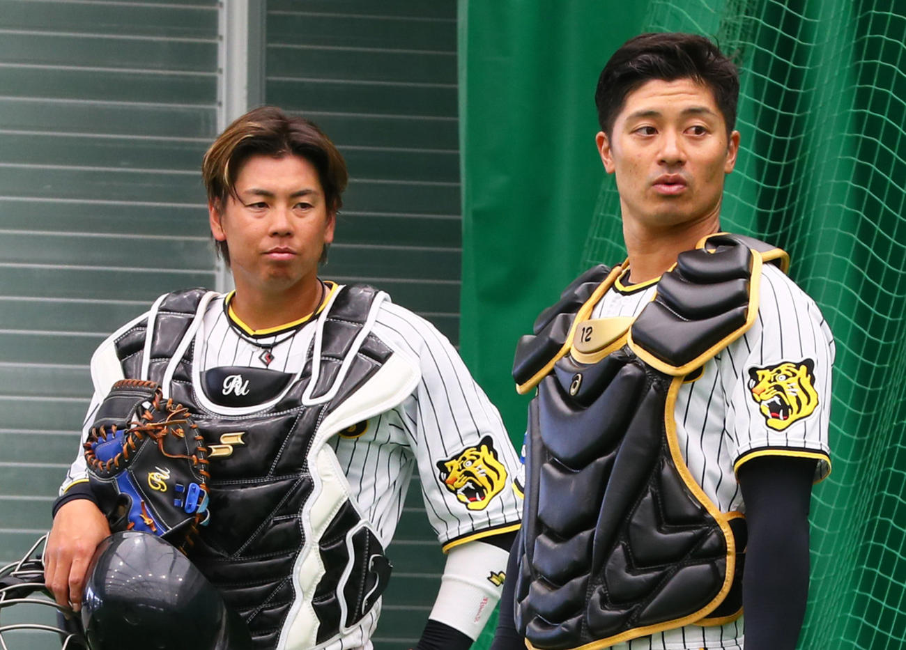 阪神梅野隆太郎（左）と坂本誠志郎（2024年2月13日撮影）