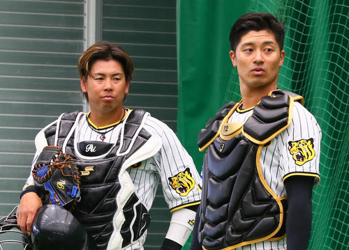 阪神梅野隆太郎（左）と坂本誠志郎（2024年2月13日撮影）