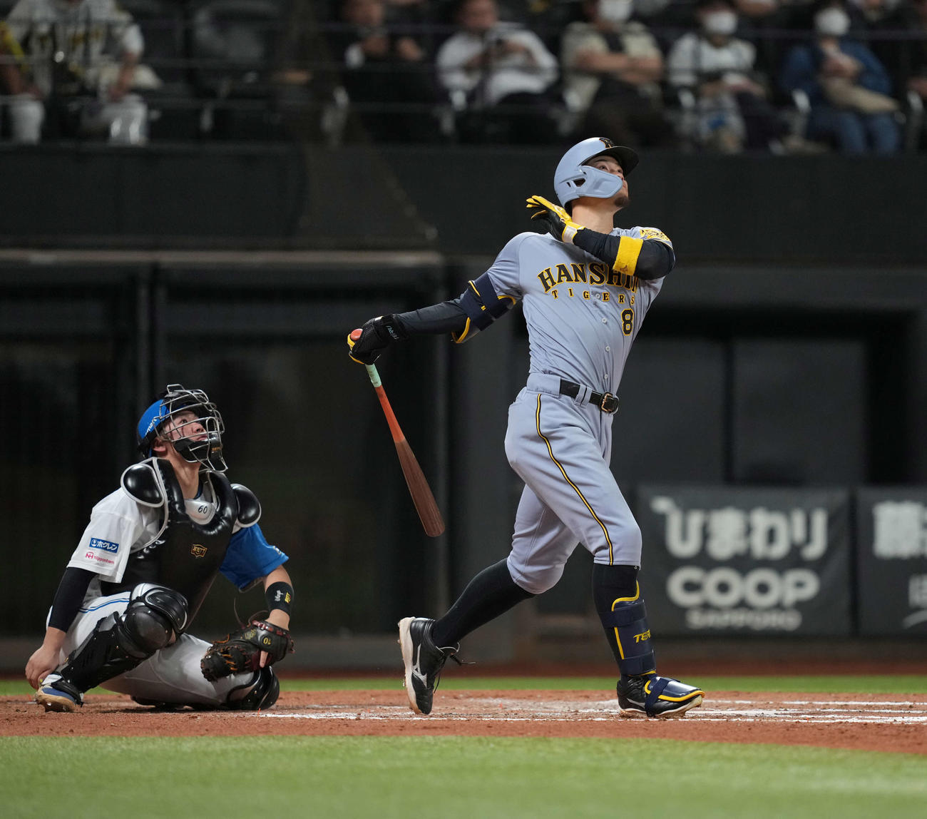 日本ハム対阪神　8回表阪神無死、プロ通算100号本塁打を右越えに放つ佐藤輝（撮影・井上学）
