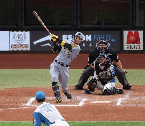 日本ハム対阪神　8回表阪神無死、右越え本塁打を放つ佐藤輝（撮影・黒川智章）