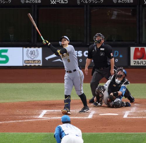 日本ハム対阪神　8回表阪神無死、右越え本塁打を放つ佐藤輝（撮影・黒川智章）