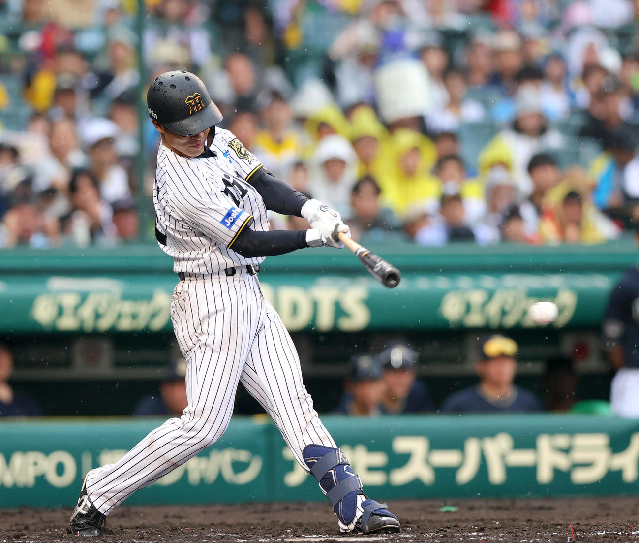 阪神対オリックス　3回裏阪神無死、坂本は左前打を放つ（撮影・上山淳一）