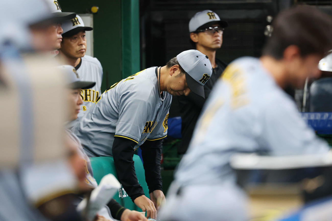 西武対阪神　敗れて引き揚げる阪神藤川監督（撮影・宮地輝）