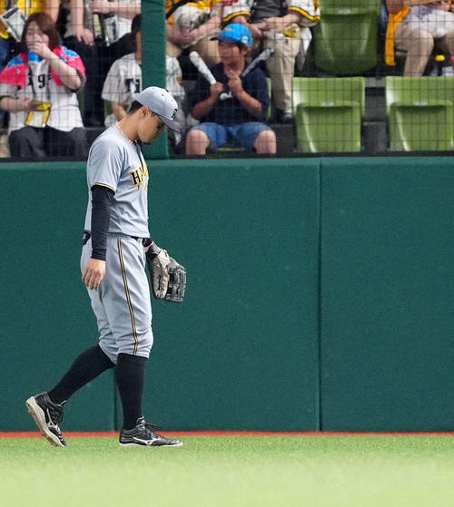 西武対阪神　2回裏西武無死、三塁打となった山村の打球を捕球できず後逸し、厳しい表情の右翼手佐藤輝（撮影・江口和貴）