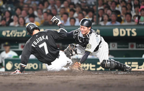 阪神対ロッテ　5回表ロッテ1死一塁、西川の二塁打で本塁を突いた藤岡だがタッチアウト、捕手阪神坂本（撮影・和賀正仁）
