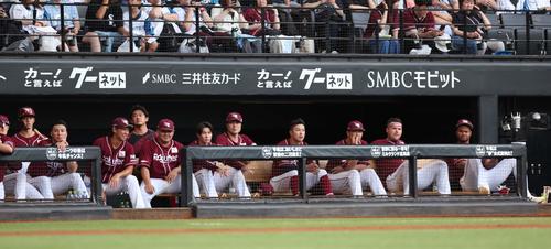 日本ハム対楽天　ベンチで試合を見つめる楽天ナイン（撮影・黒川智章）