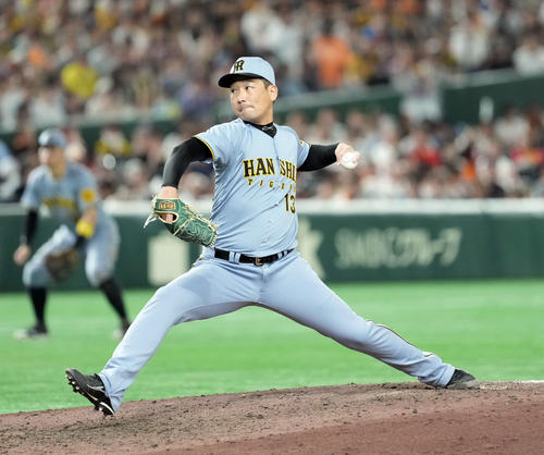 巨人対阪神　9回からマウンドに上がった阪神岩崎（撮影・たえ見朱実）