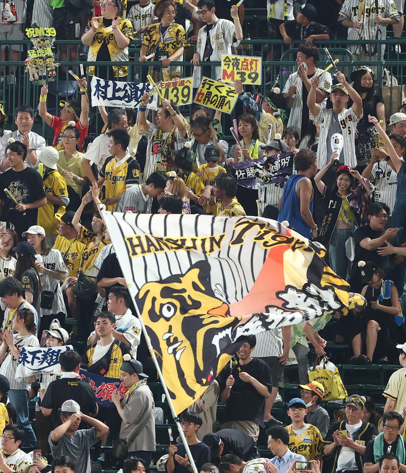 阪神対広島　M39を祝う阪神ファン（撮影・上田博志）