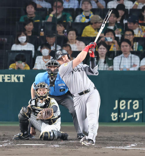 阪神対巨人　4回表巨人1死一塁、岡本は左前打を放つ（撮影・加藤哉）