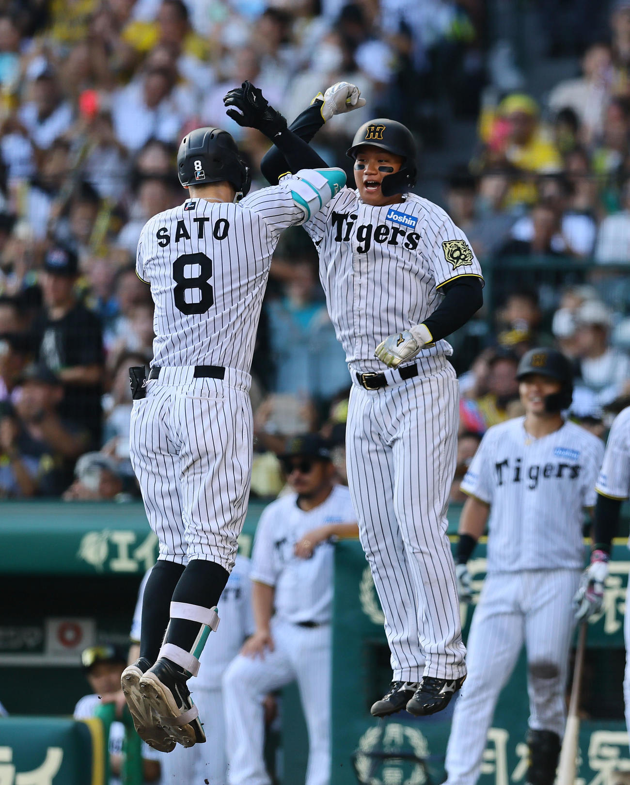 阪神対中日　5回裏阪神2死一塁、左越えに2点本塁打を放った佐藤輝とタッチを交わす森下（撮影・藤尾明華）