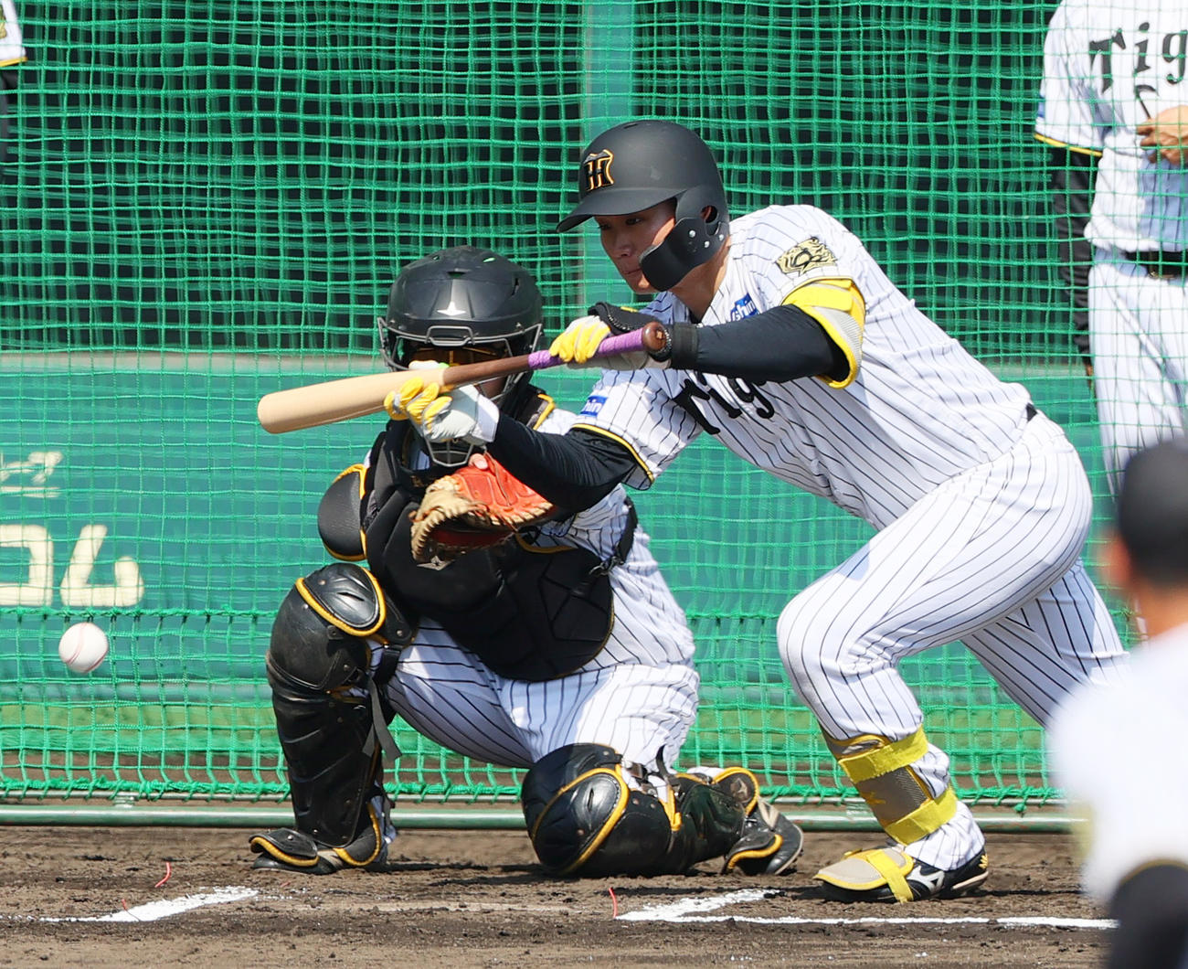 ケース打撃でバントを決める阪神森下翔太（2025年10月7日撮影）