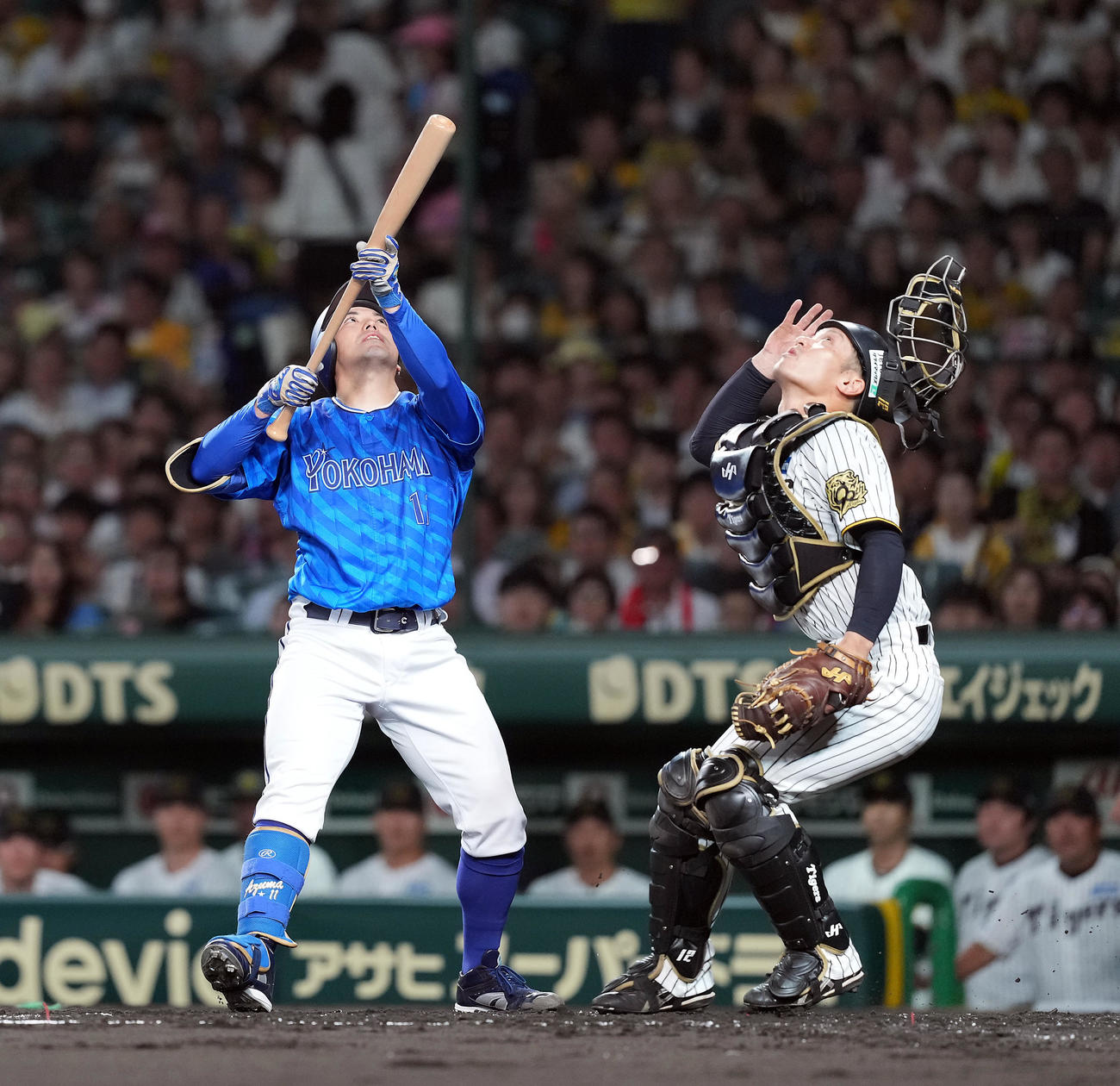 阪神対DeNA 2回表DeNA無死一塁、スリーバント失敗に倒れる東。右は捕手坂本（撮影・たえ見朱実）