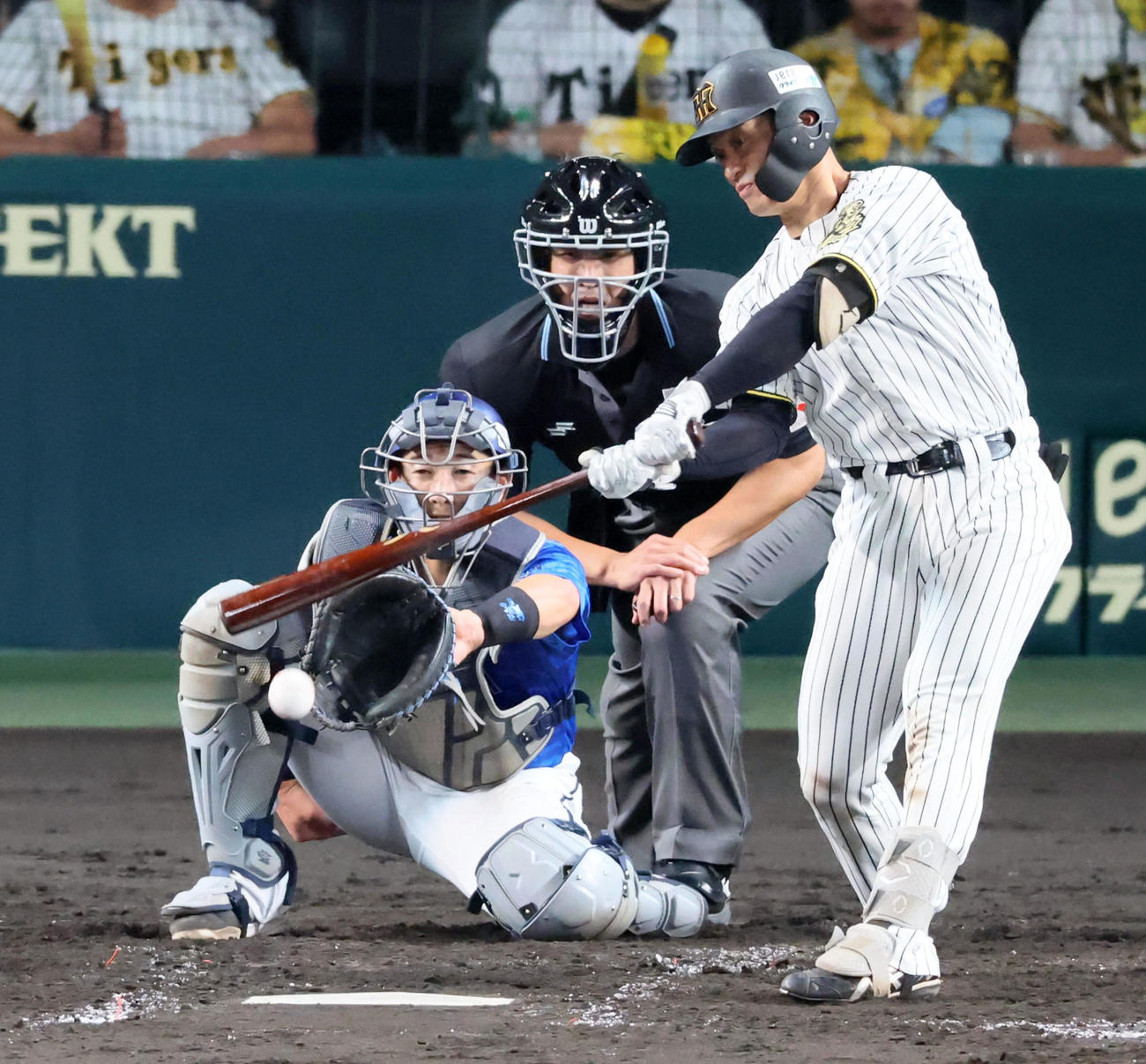 阪神対DeNA 4回裏阪神1死、坂本は中前打を放つ（撮影・加藤哉）