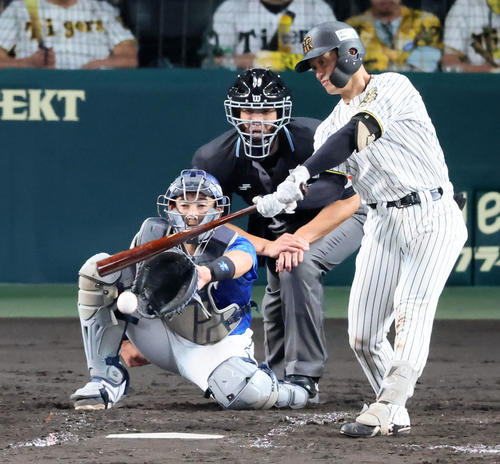 阪神対DeNA 4回裏阪神1死、坂本は中前打を放つ（撮影・加藤哉）