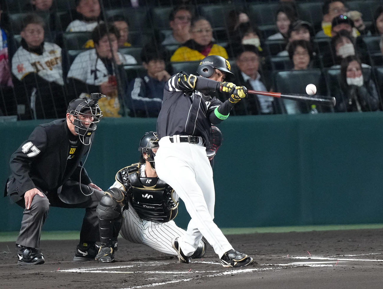 阪神対ソフトバンク　6回表ソフトバンク1死二塁、柳町達は適時三塁打を放つ（撮影・足立雅史）