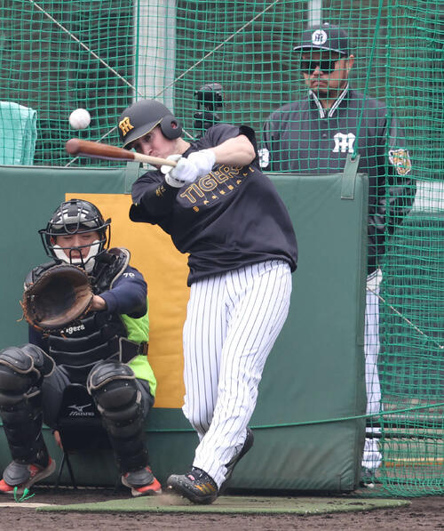 阪神ディベイニーは小谷野コーチの前でランチタイムに特打を行う（撮影・西尾就之）