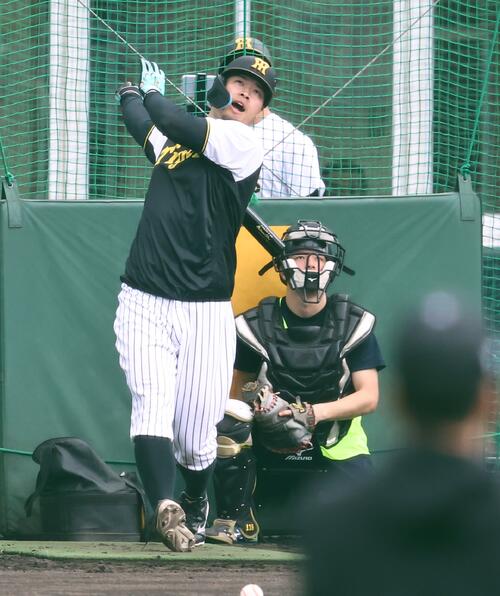フリー打撃をする佐藤（撮影・上田博志）