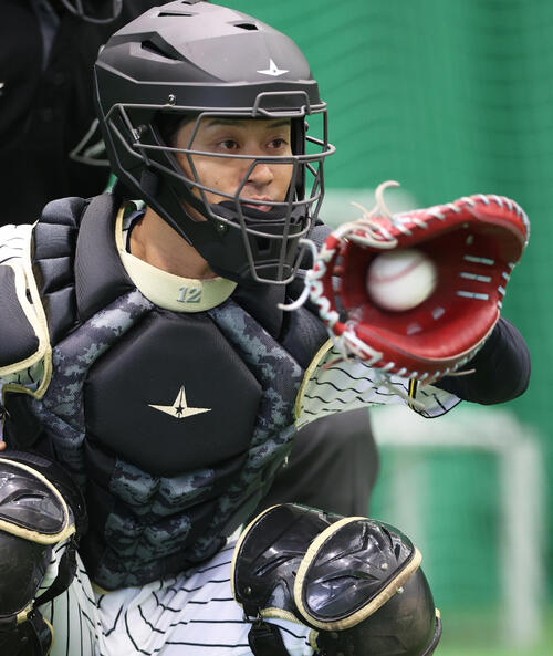 阪神坂本誠志郎（2026年2月撮影）