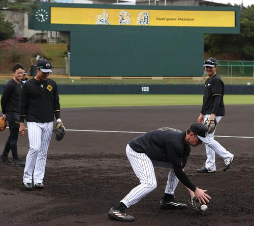 早出ノックを受ける阪神ディベイニー（手前）ら。右は小幡、左2人目は木浪（撮影・上山淳一）