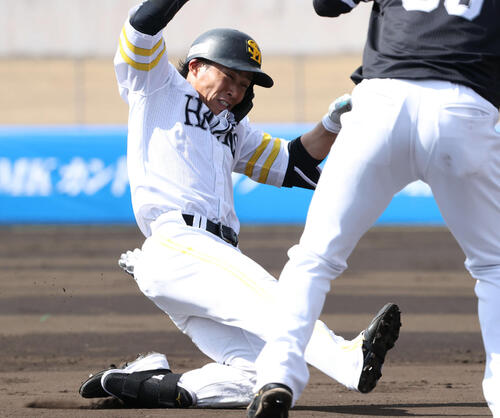 15日、紅白戦で右中間三塁打を放った野村（撮影・梅根麻紀）