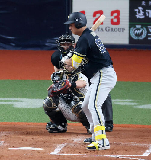 阪神対オリックス　5回表オリックス無死、死球を受ける杉本（撮影・加藤哉）