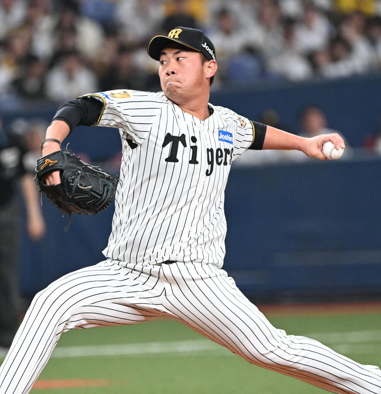 阪神桐敷拓馬（2026年3月撮影）