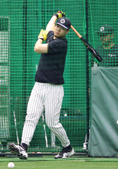 フリー打撃練習をする阪神佐藤（撮影・上田博志）