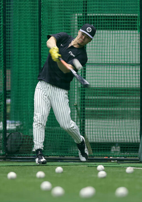 室内練習場で打撃練習を行う阪神佐藤（撮影・前田充）
