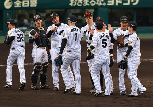 阪神対中日　中日に勝利した阪神ナインはハイタッチして喜ぶ（撮影・上田博志）